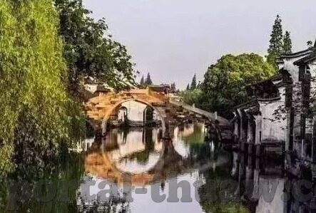 大象天天视频wwe-探索大象天天视频与WWE的奇妙融合,文化与娱乐的跨界体验